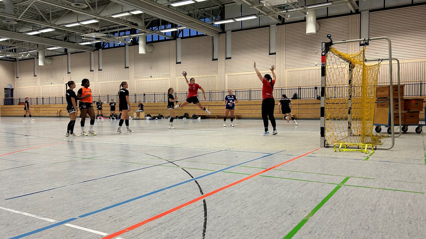 Zum Saisonauftakt gegen Leipzig musste sich die Handballerinnen der HSG Freiburg mit einem Unentschieden begnügen (Foto: SWR, Louise Schöneshöfer)