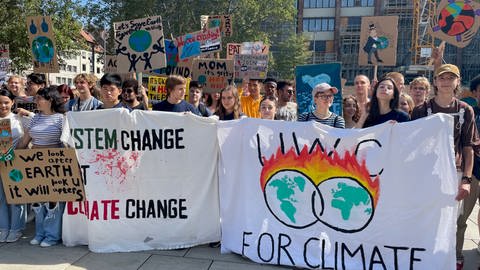 Schülerinnen und Schüler demonstrieren mit Plakaten für Klimaschutz. (Foto: SWR)