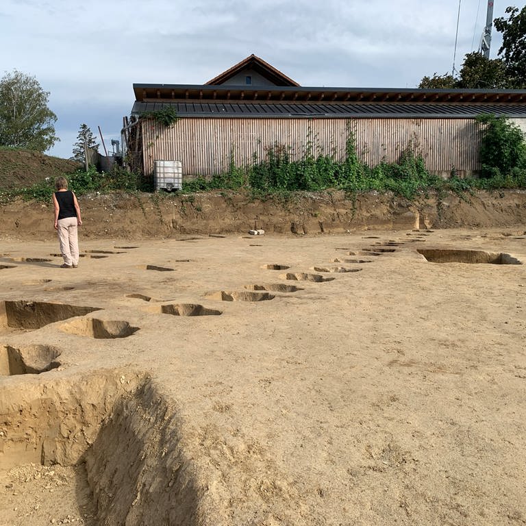 Eine Frau läuft in Endingen über eine Grabungsstätte. Im Boden sind Gruben. Ein Haus aus der Steinzeit wurde gefunden. (Foto: SWR, Klara Maria Gaßner)
