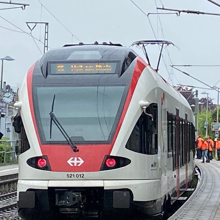 Zu sehen ist ein Zug der S-Bahn S6 in Lörrach. Seit August hat ein Unbekannter Gegenstände auf die Gleise belegt. Meist waren es Betonplatten. (Foto: SWR, Matthias Zeller)