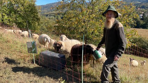 Edgar Engist hält seit 50 Jahren Schafe in Bollschweil bei Freiburg. (Foto: SWR, Marion Eiche)