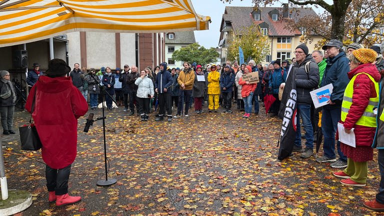 AfD Kundgebung in Steinen (Foto: SWR, Paulina Flad)