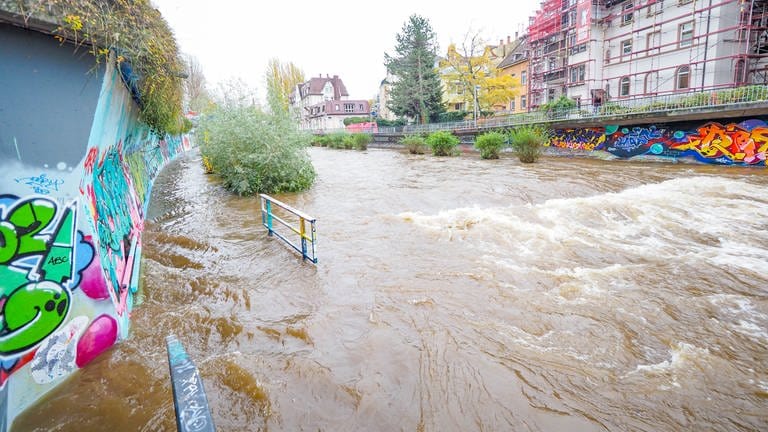 Aufgrund des Dauerregens führt die Dreisam in Freiburg Hochwasser.