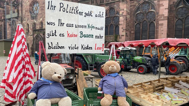 Bauernprotest auch auf dem Freiburger Münstermarkt (Foto: SWR, Sebastian Bargon)
