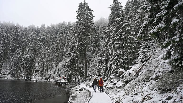 Am Mummelsee im Schwarzwald sind Bäume und Wege mit Neuschnee bedeckt. (Foto: dpa Bildfunk, picture alliance/dpa | Uli Deck)