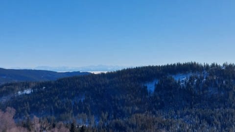 Alpenpanorama vom Feldberg. (Foto: SWR, Elisabeth Marx)