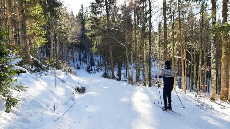 Ein Langläufer beim Notschrei-Pass im Schwarzwald