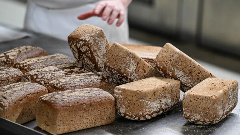 Mehrere Brote auf einem Blech (Foto: dpa Bildfunk, dpa/picture alliance Jens Kalaene)