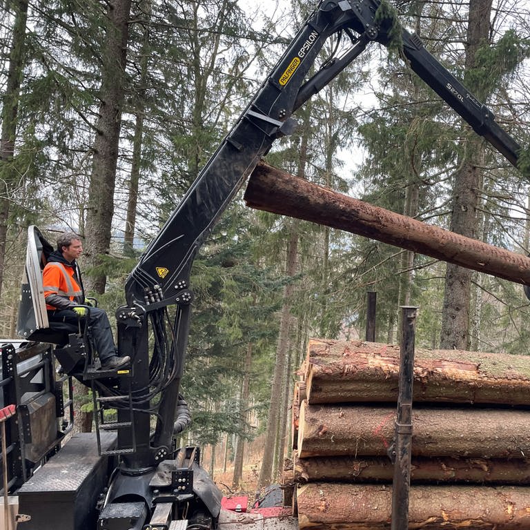 Forstarbeiter holen totes Holz aus dem Wald. (Foto: SWR)