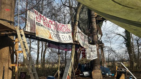 Im Langmattenwäldchen, dass zum Dietenbachwald gehört, haben Aktivisten mit einer Mahnwache begonnen. 