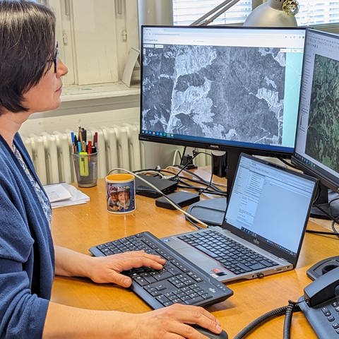 Wissenschaftlerin Catalina Munteanu vergleicht an ihrem Computer ein historisches Satellitenbild mit aktuellen Aufnahmen.