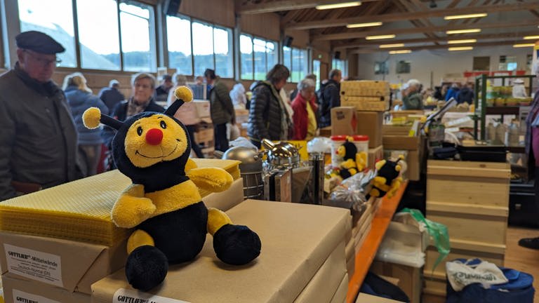 Bienenkuscheltier sitzt auf Karton  (Foto: SWR)