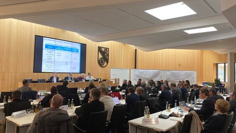 Sitzung des Regionalverbandes Hochrhein-Bodensee (Foto: SWR)