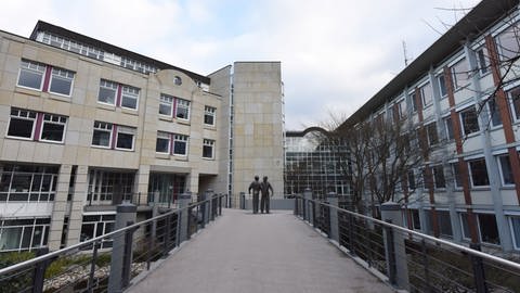 Landratsamtsgebäude (Foto: picture-alliance / dpa, SWR, Patrick Seeger)