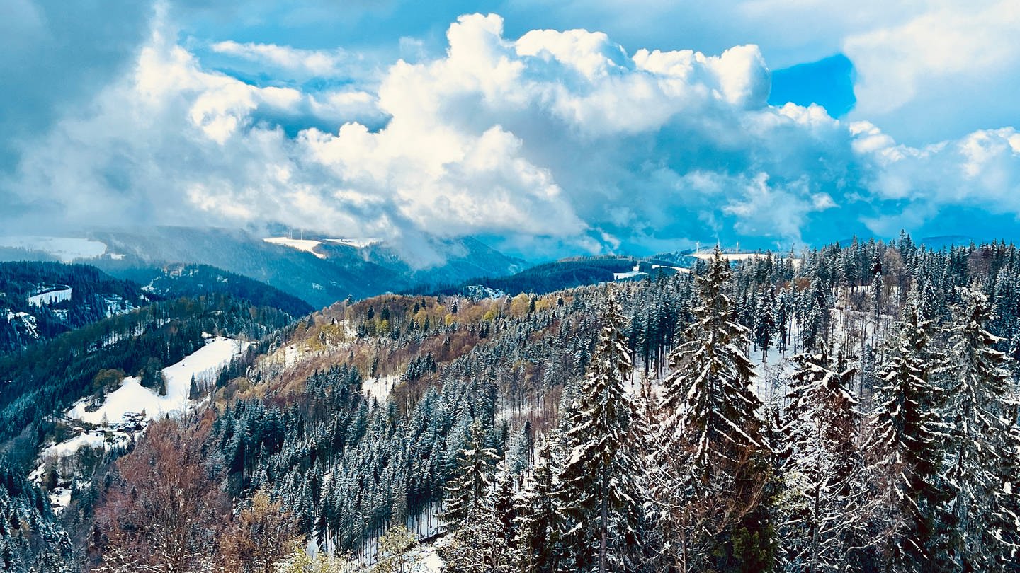 Der Schneefall am Wochenende führte im Schwarzwald an einigen Stellen zu Verkehrsproblemen. Dennoch konnten sich viele über den Anblick der verschneiten Landschaft freuen. Festgehalten von Samantha Happ. (Foto: SWR, Samantha Happ)