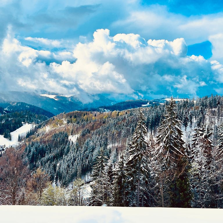Der Schneefall am Wochenende führte im Schwarzwald an einigen Stellen zu Verkehrsproblemen. Dennoch konnten sich viele über den Anblick der verschneiten Landschaft freuen. Festgehalten von Samantha Happ. (Foto: SWR, Samantha Happ)