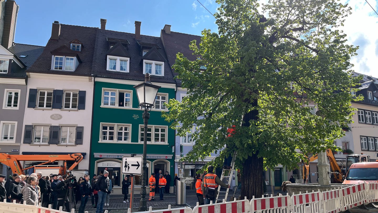 Wie standsicher ist Freiburgs Wahrzeichen? Ein Gutachten soll Antworten liefern. (Foto: SWR, David Zastrow)