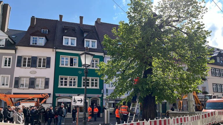 Wie standsicher ist Freiburgs Wahrzeichen? Ein Gutachten soll Antworten liefern. (Foto: SWR, David Zastrow)