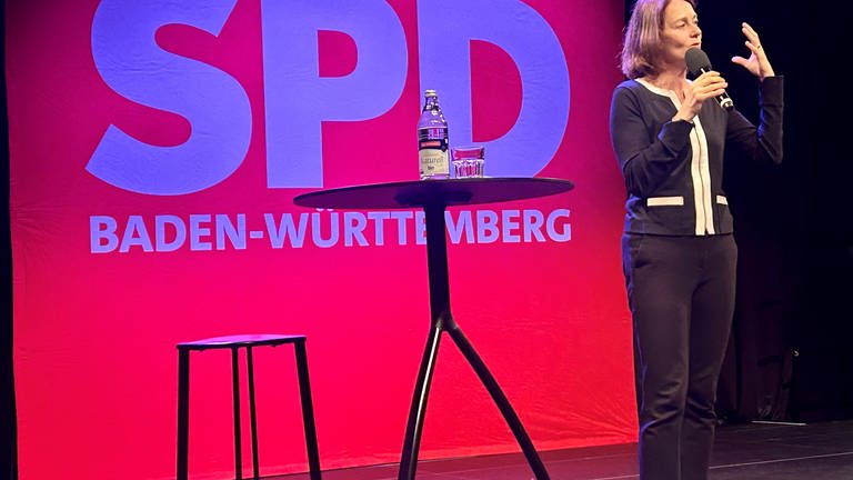 Katarina Barley auf dem SPD Frühlingsempfang in Freiburg 