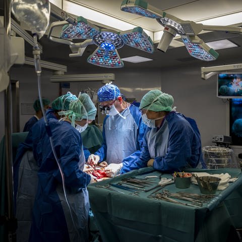 Das Personal eines Operationssaals führt eine Transplantation durch.