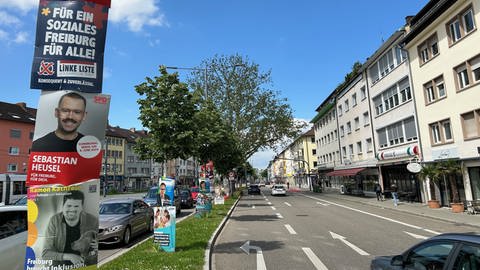 Wahlplakate in Freiburg