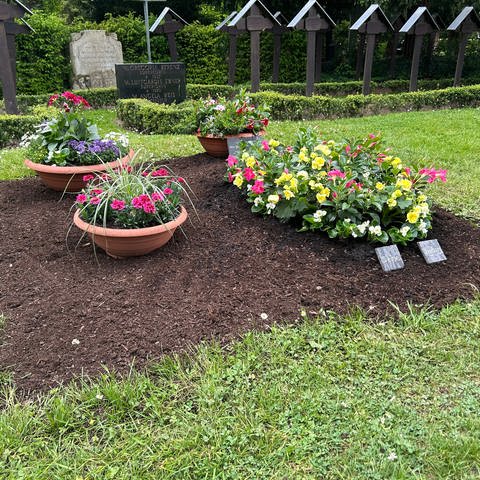 Wieder frische Blumen auf dem Grab des verstorbenen Bundespolitikers Wolfgang Schäuble: Unbekannte hatten das Grab geschändet und ein metertiefes Loch hineingegraben.