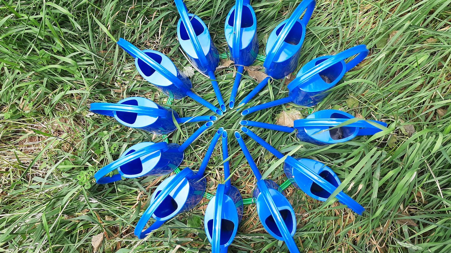 Blaue Gießkannen stehen auf einer Wiese im Kreis (Foto: SWR, Jan Lehmann)