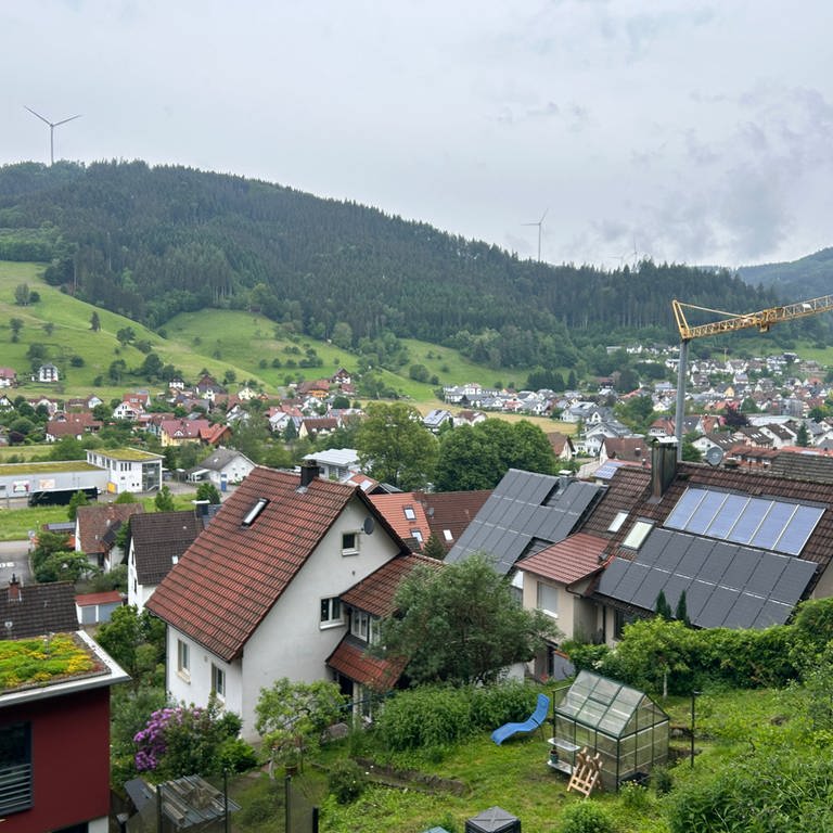 Die Siedlungsgemeinschaft Wolfach-Oberwolfach besteht aus rund 50 Häusern. Immer mehr haben Solaranlagen auf dem Dach.