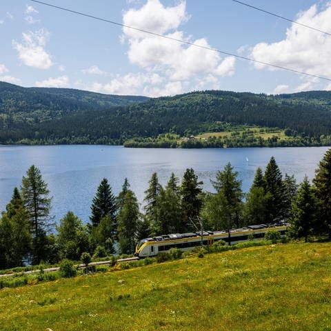 Neben einem großen blauen See, dem Schluchsee, liegen Schienen. Auf diesen fährt ein gelber Dieselzug.