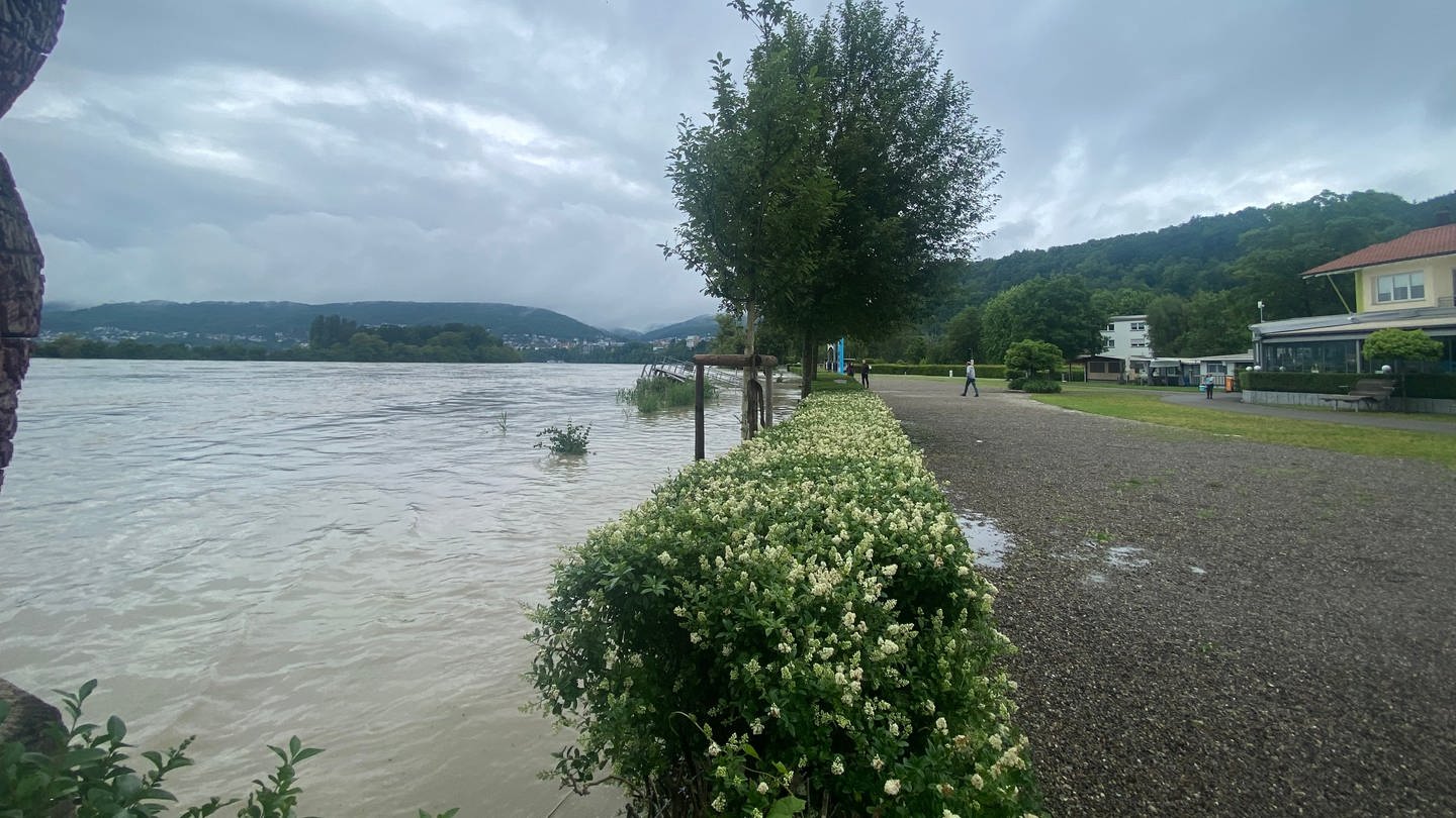 Der Rheinuferweg entlang des Campingplatzes in Waldshut ist nicht mehr erkennbar. (Foto: SWR, Vanessa Amann)
