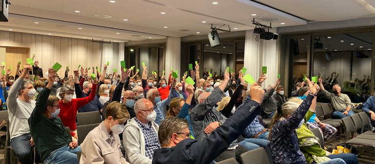 Tübinger Grüne stimmen mit großer Mehrheit für Urwahl-Verfahren zur OB-Wahl 2022 (Foto: SWR)
