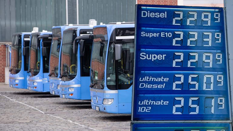 Busse Dieselpreise (Foto: dpa Bildfunk, SWR, dpa Sven Hoppe & Frank Molter | Montage SWR Tobias Rager)