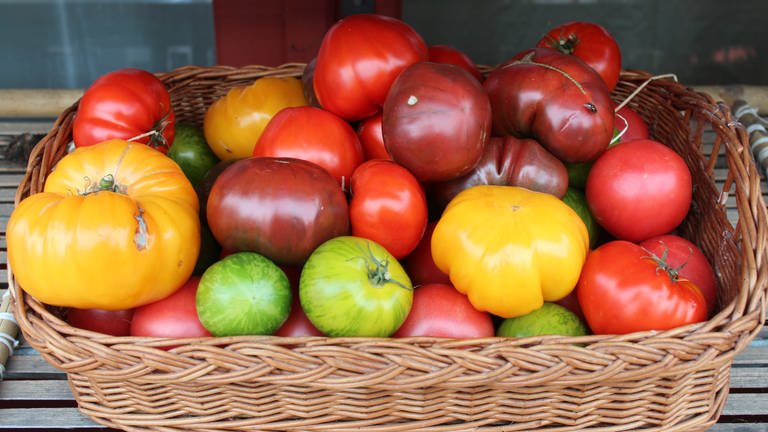 Verschiedene Tomatensorten (Foto: Manfred Schäffler)