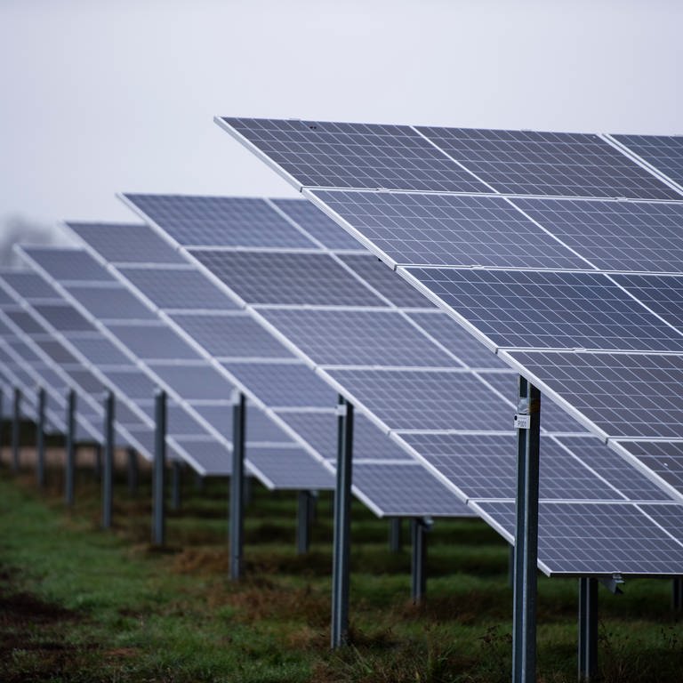 Solarmodule eines Solarparks stehen auf einer Wiese  (Foto: dpa Bildfunk, Christophe Gateau)