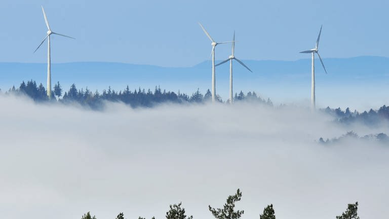 Windkraft im Süedwesten (Foto: dpa Bildfunk, Rolf Haid 38462483)