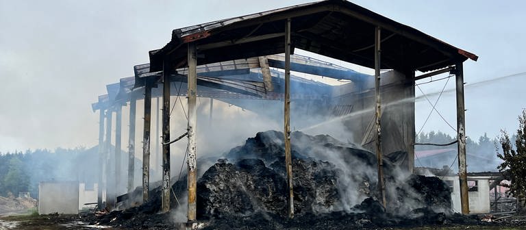Eine Scheune steht in Trossingen in Brand (Foto: SWR, Samantha Happ)