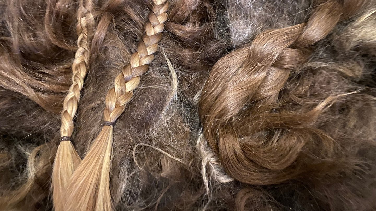 Friseur aus Tübingen sammelt alte Haare für Meeresschutz