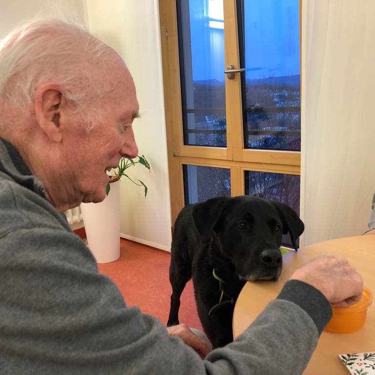 Ein Therapiehund in der Geriatrie vertreibt alten Menschen die Zeit bei lustigen Spielen. (Foto: SWR, Pia Pelzer)