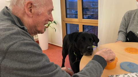 Ein Therapiehund in der Geriatrie vertreibt alten Menschen die Zeit bei lustigen Spielen. (Foto: SWR, Pia Pelzer)