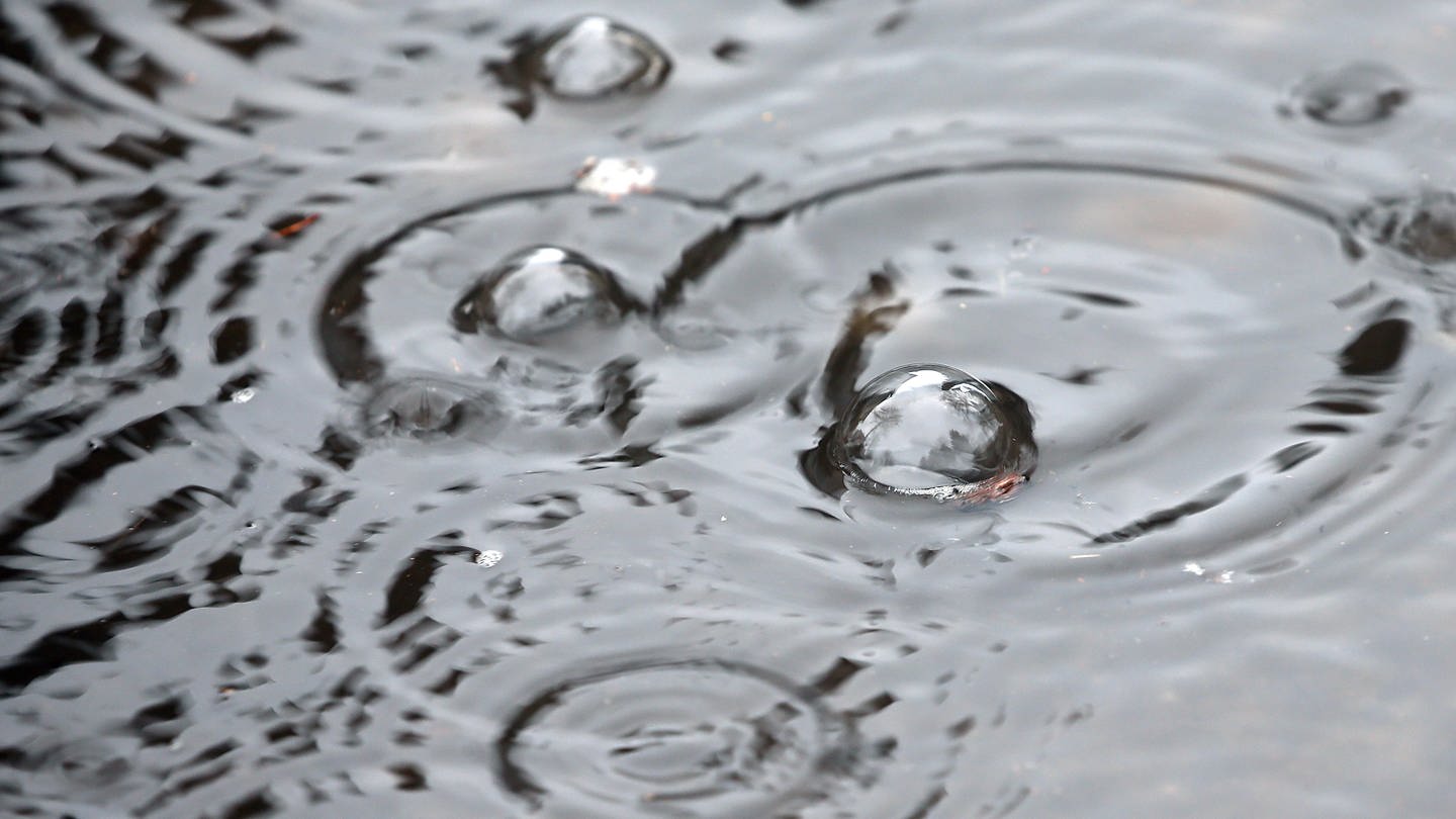 Regenwasser in Städten besser nutzen (Foto: dpa Bildfunk, Wolfgan Kumm)