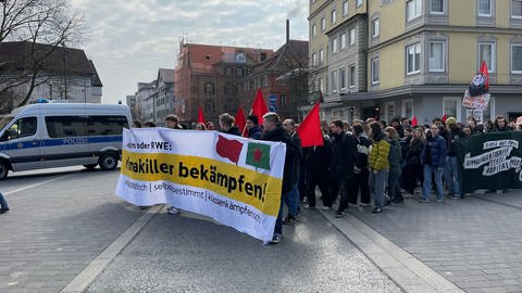 Fridays for Future-Demo in Tübingens Innenstadt. (Foto: SWR, Katharina Kregel)