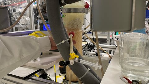 Im Labor des Tübinger Leibniz-Preisträgers Lars Angenent verwandeln Mikroben Milchsäure in Capronsäure. (Foto: SWR, Ulrike Mix)