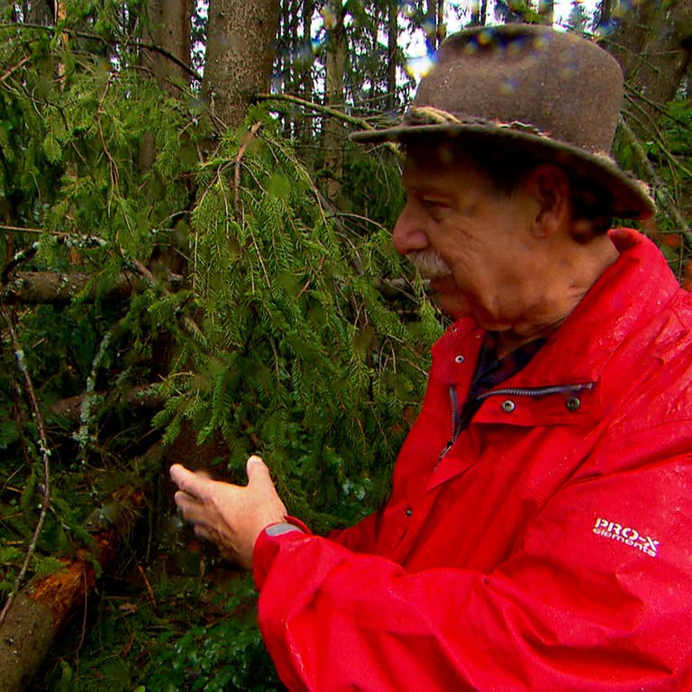 Waldbesitzer Uwe Ehmann zeigt auf einen Baum, der vom Sturm umgeknickt ist. (Foto: SWR)