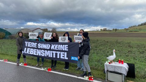 Tierschützerinnen protestieren mit Bannern und Plakaten vor dem Geflügelhof Maier in Remmingsheim-Neustetten (Foto: SWR)