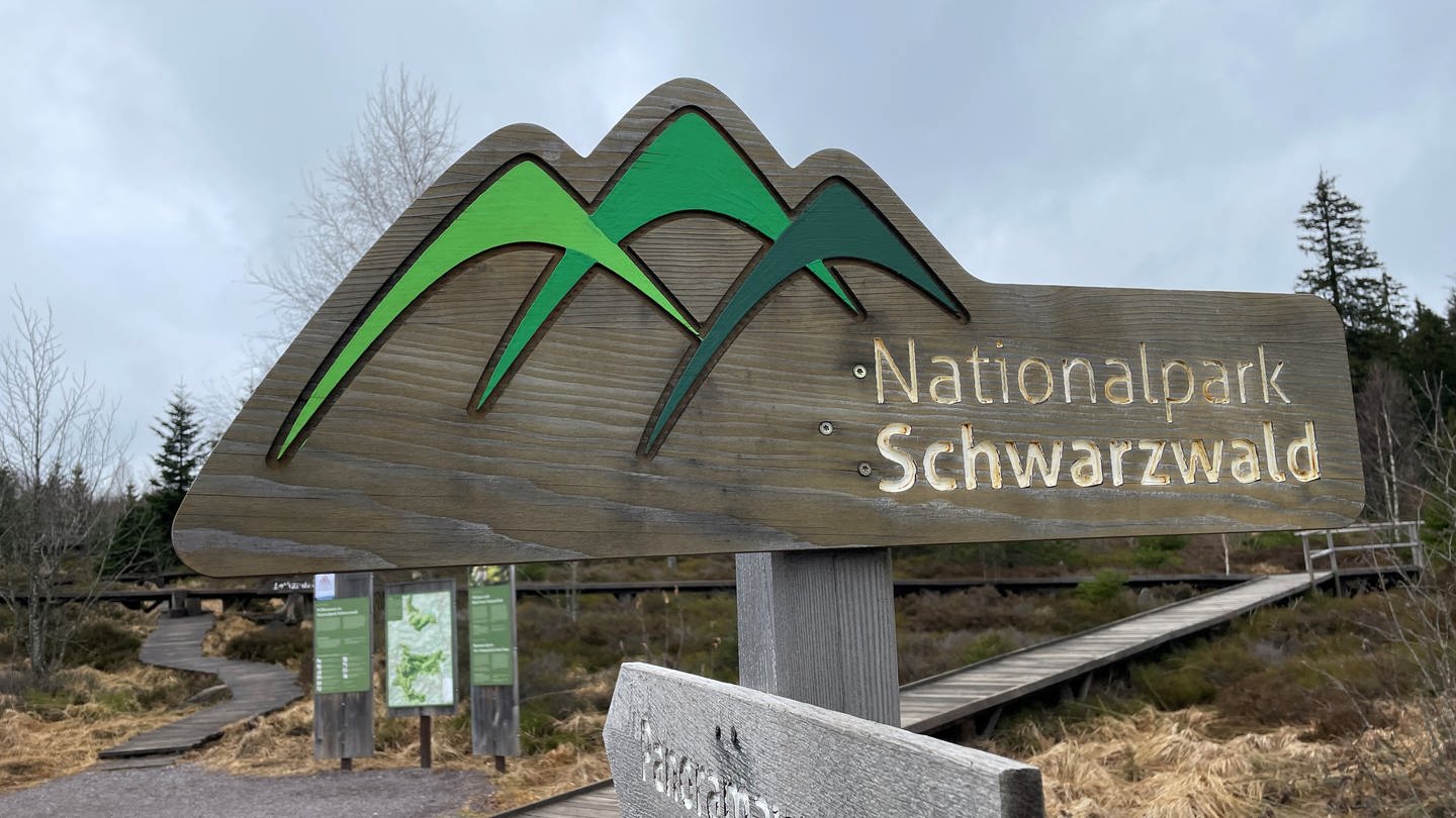 Nationalpark Schwarzwald (Foto: SWR, Markus Beschorner)