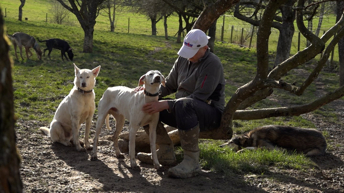Mikel Tharann sitzt in einem Gebüsch und streichelt zwei weiße Hunde. Der Ortschaftsrat Balingen-Weilstetten will die Tiere nicht mehr im Ort dulden, weil sie angeblich zu laut sind. (Foto: SWR)