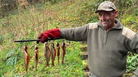 Uwe Weigold hält eine lange Stange horizontal in der Hand. Daran hängen sechs Forellen, die schon dunkel gefärbt sind vom Räuchern. (Foto: SWR, Ingemar Koerner)