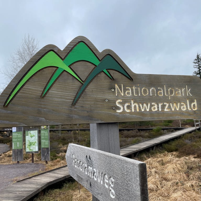 Nationalpark Schwarzwald (Foto: SWR, Markus Beschorner)