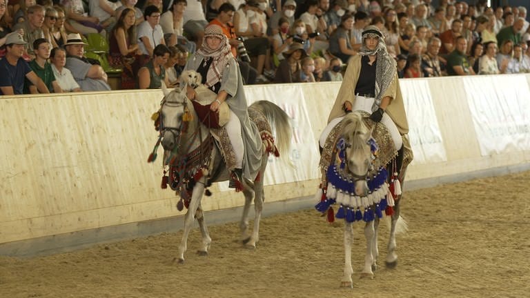 Festival des Arabischen Pferdes (Foto: SWR)