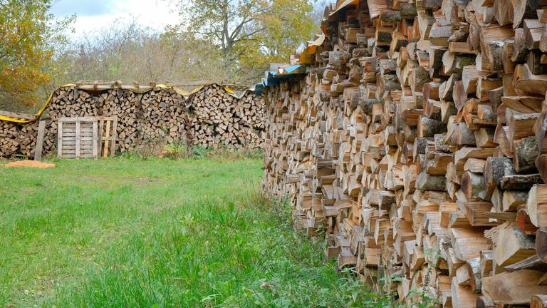 Holzstapel bei der Privatwaldtagung in Pfronstetten (Foto: SWR, Jochen Krumpe)